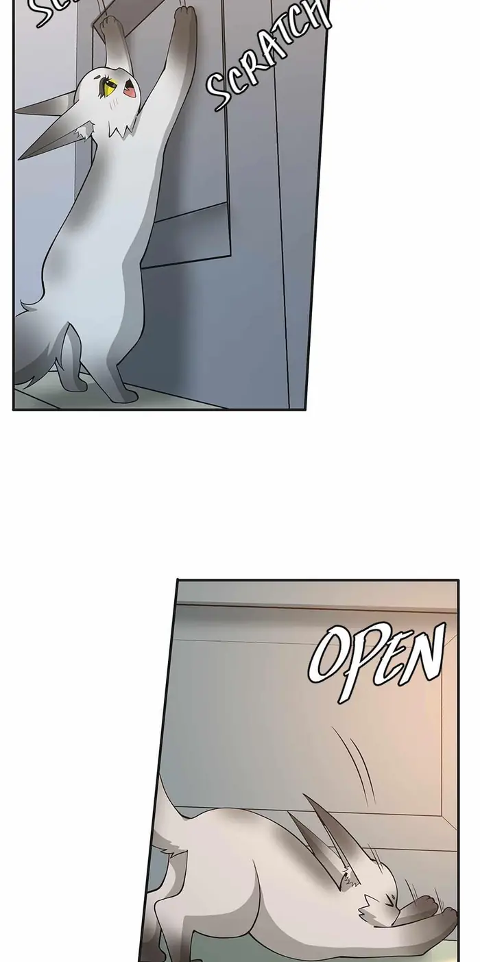 The Beginning After the End Chapter 133 image 41_optimized